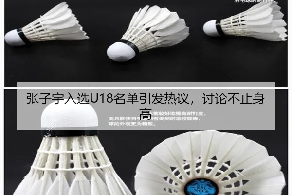 张子宇入选U18名单引发热议，讨论不止身高 - ayx