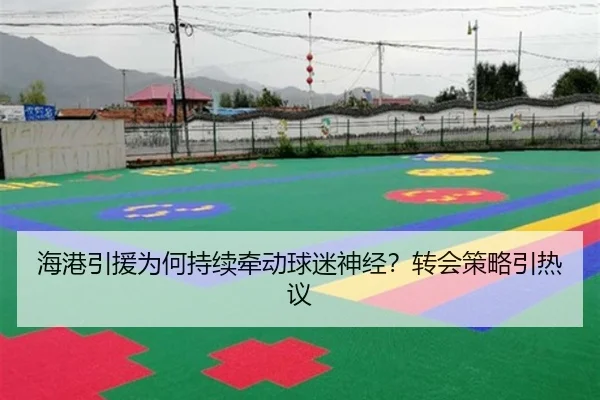 海港引援为何持续牵动球迷神经？转会策略引热议 - ayx